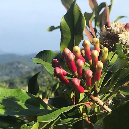 Munduk Clove Esterno foto